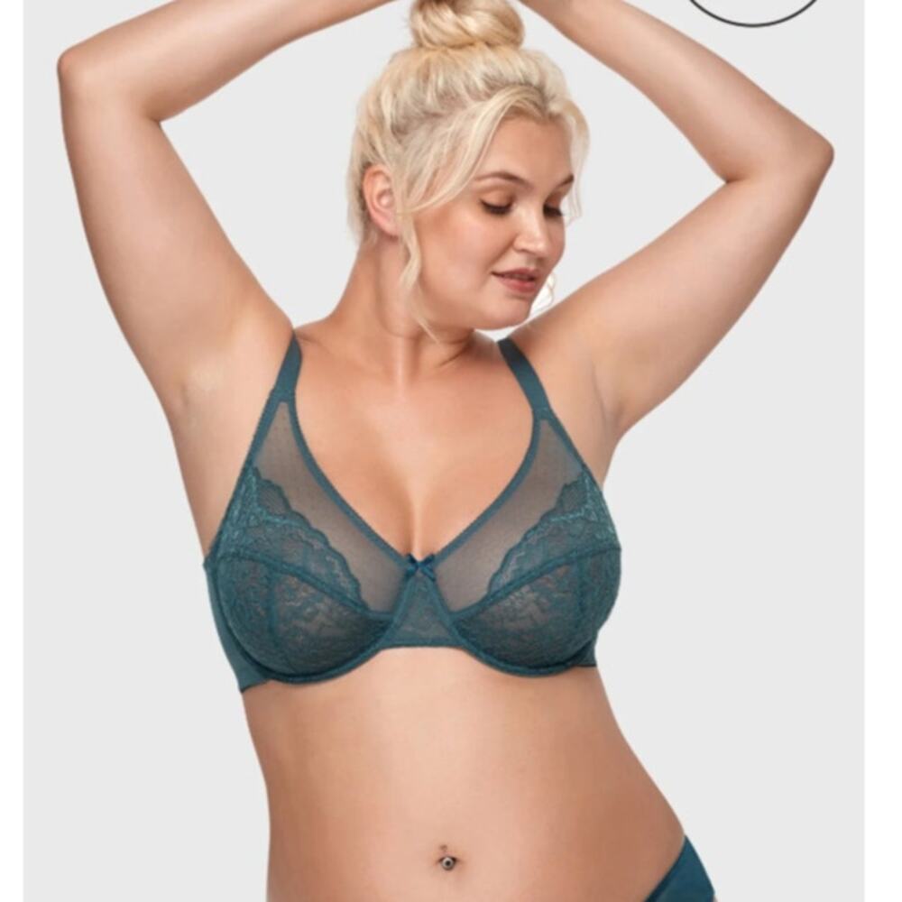 HSIA Enchante Dark Teal Lace Underwire Bra Size 36DDD NWT